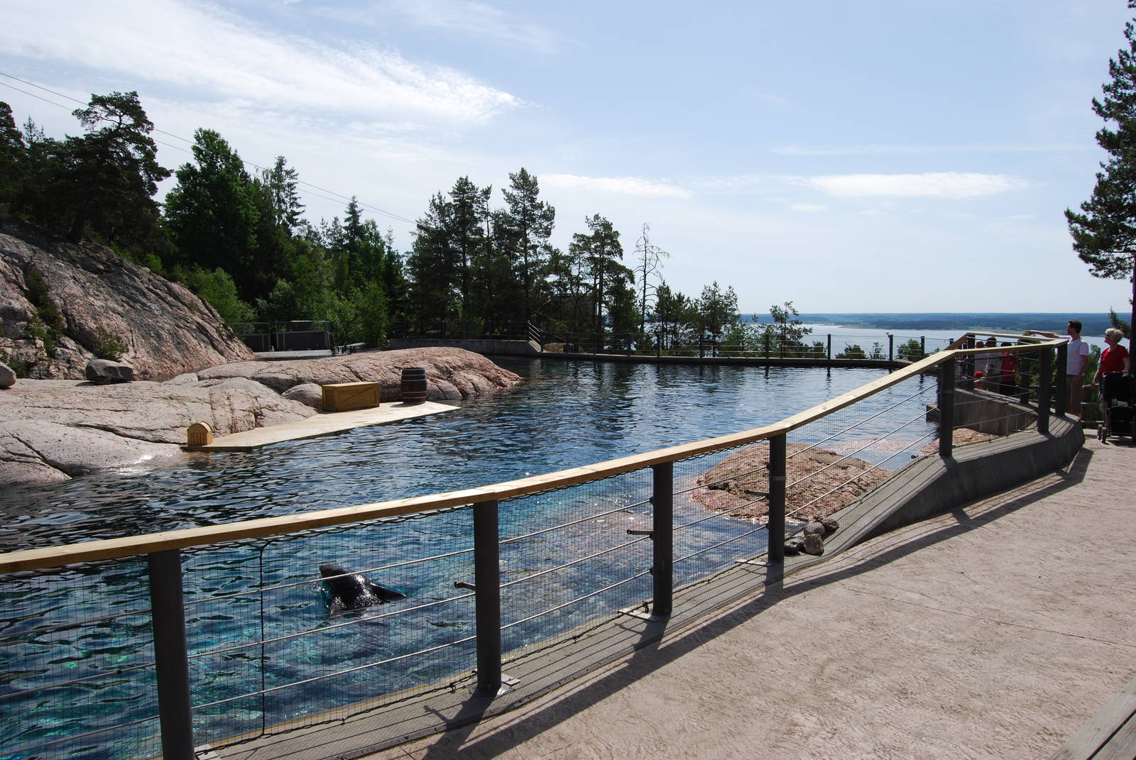 Seal and penguin pool