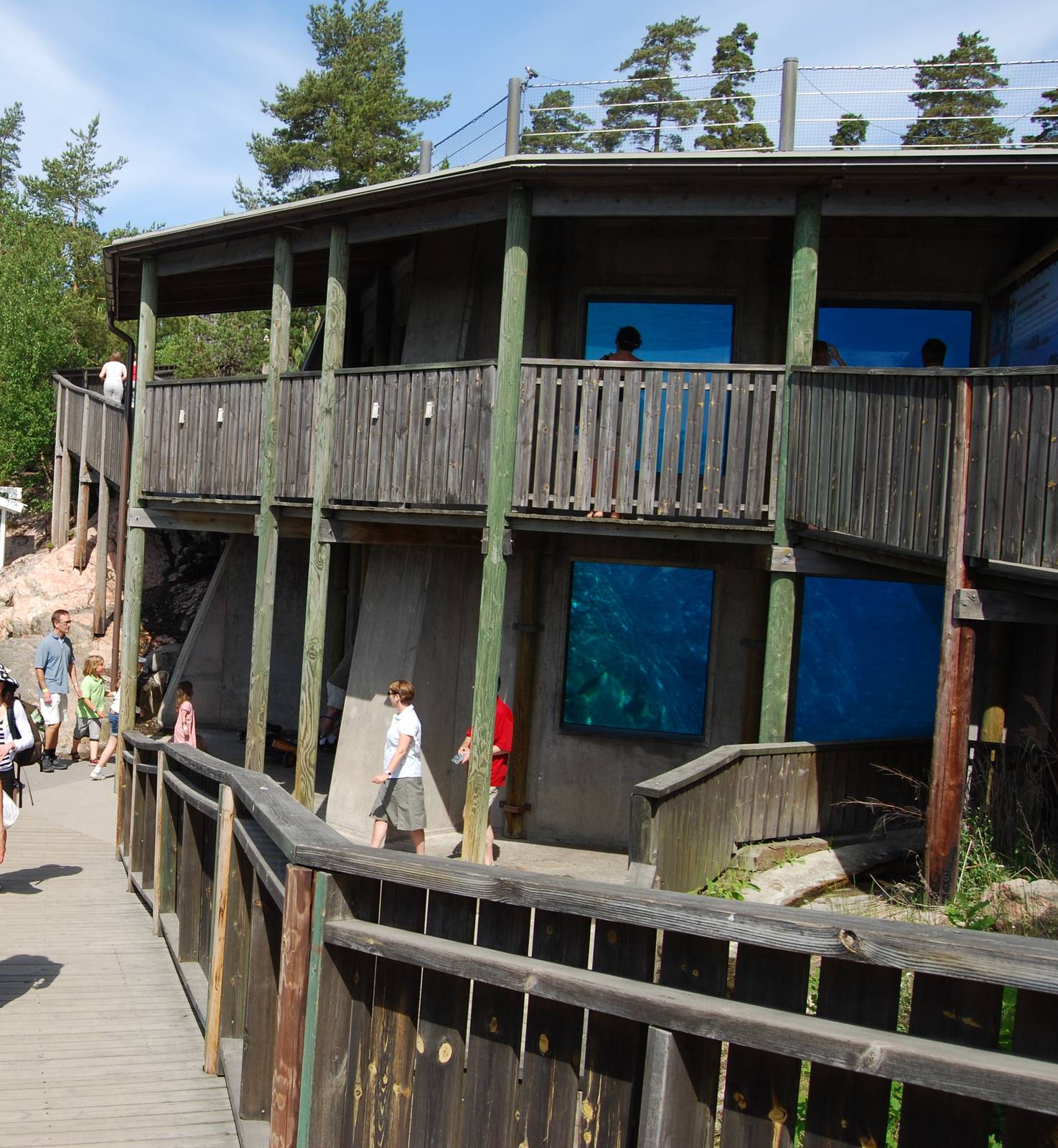 Seal and penugin pool