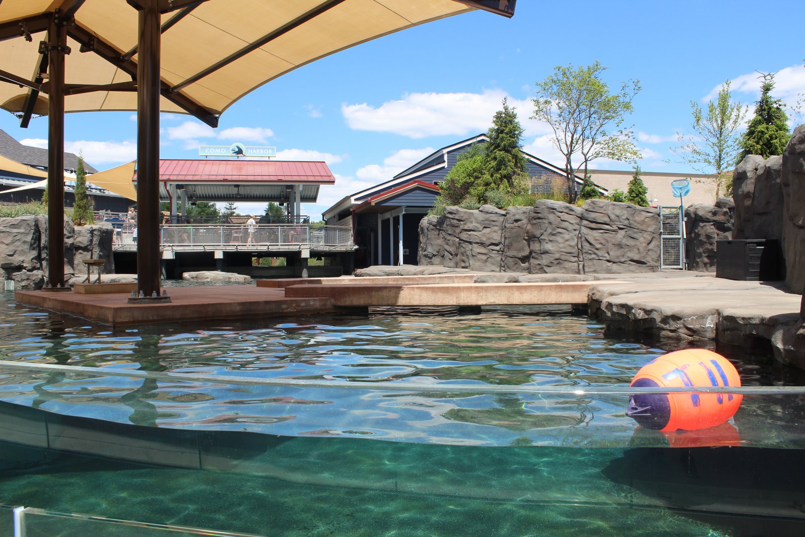 Seal and Sea Lion Amphitheater Exhibit - Como Harbor