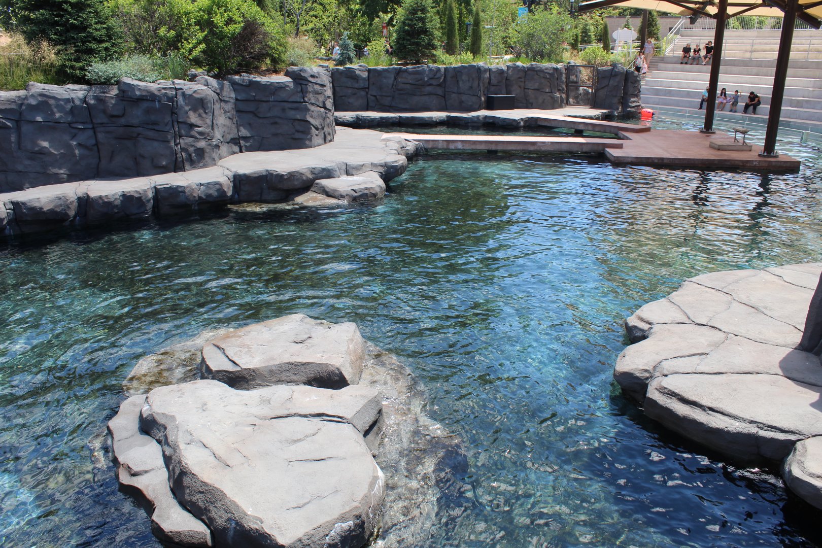 Seal and Sea Lion Amphitheater Exhibit - Como Harbor