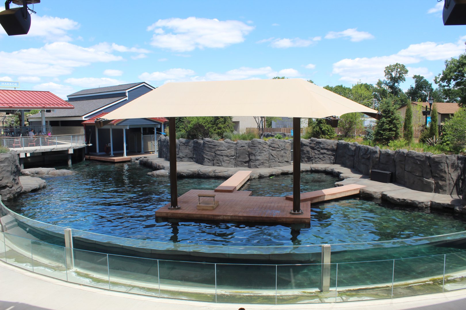 Seal and Sea Lion Amphitheater Exhibit - Como Harbor