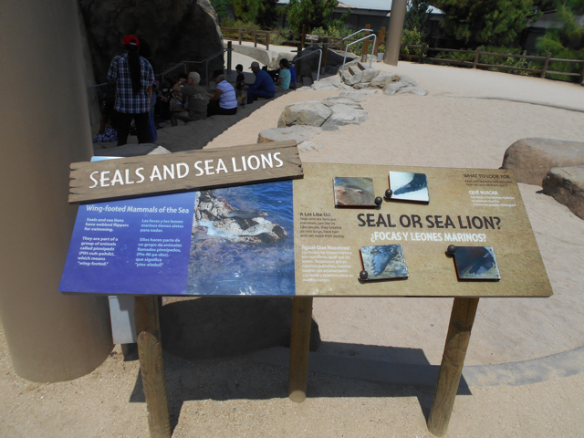 Seal and sea lion differences interpretive sign