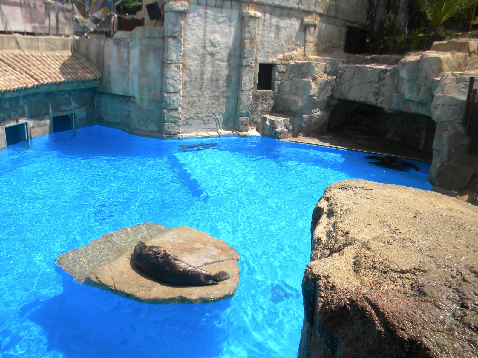 Seal and Sea Lion enclosure at Mundo Mar 01/08/11