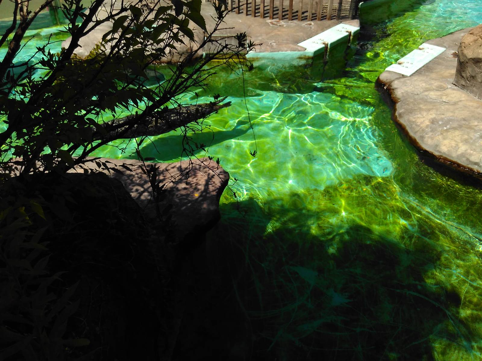 Seal and sea lion exhibit