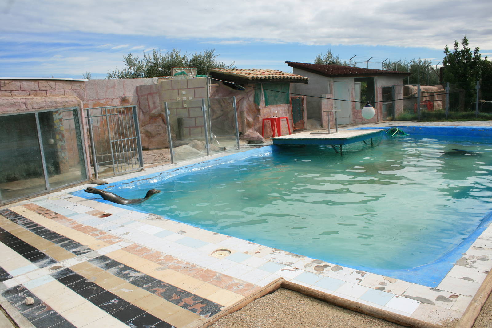 seal and sea lion pool