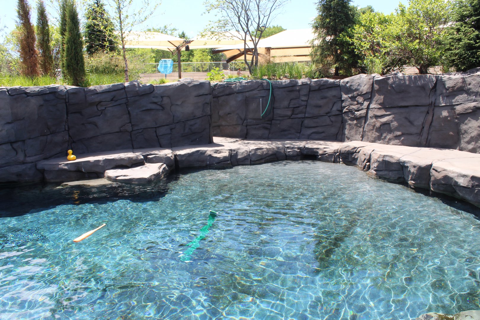 Seal and Sea Lion Side Exhibit - Como Harbor