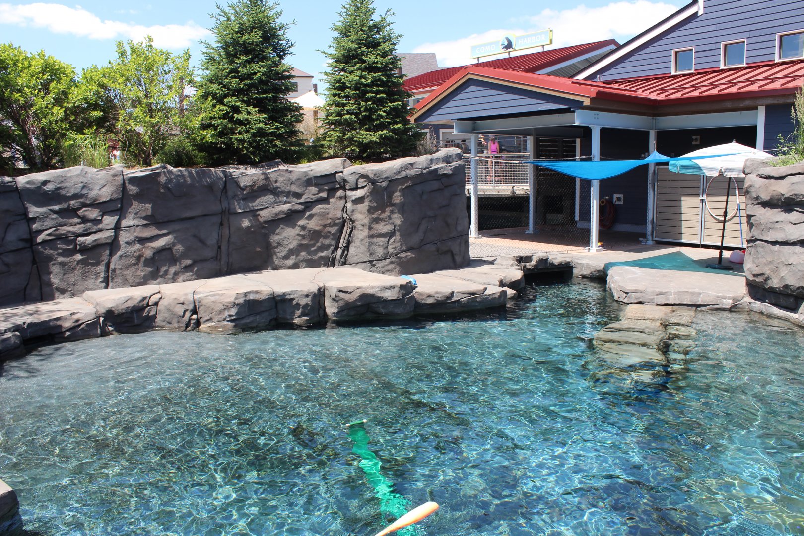 Seal and Sea Lion Side Exhibit - Como Harbor