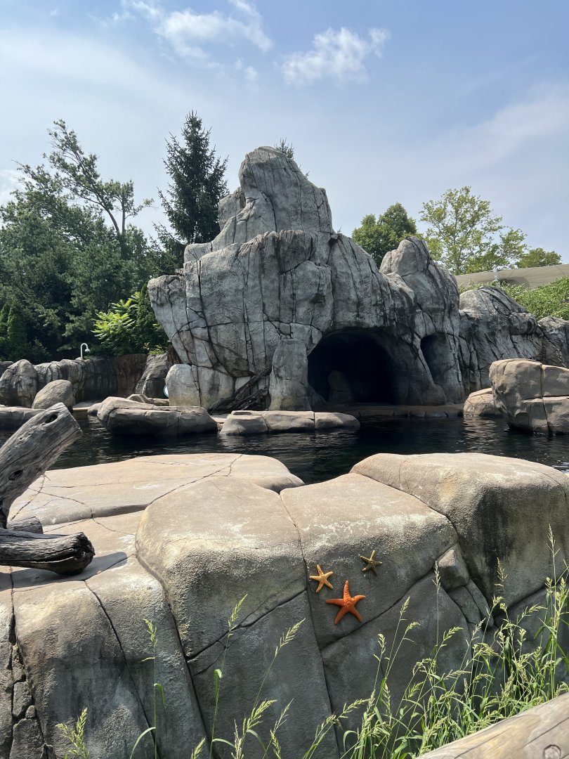 Seal and Sea Lion Sound