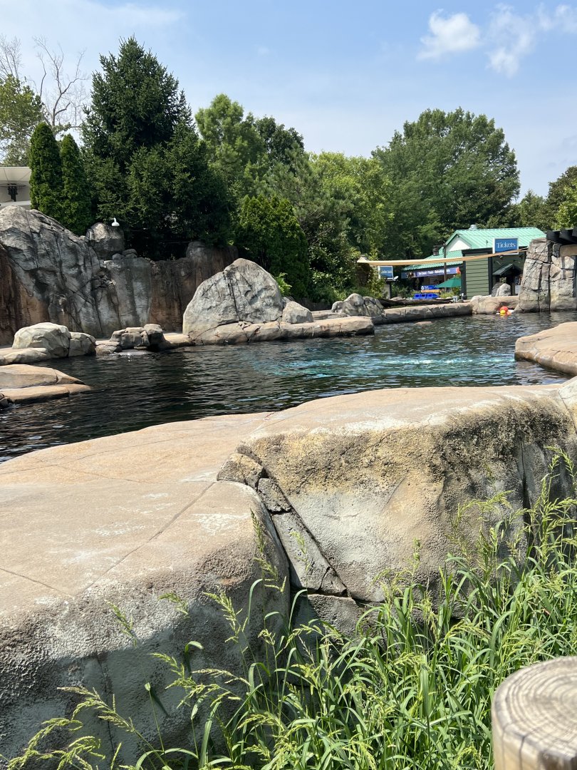 Seal and Sea Lion Sound