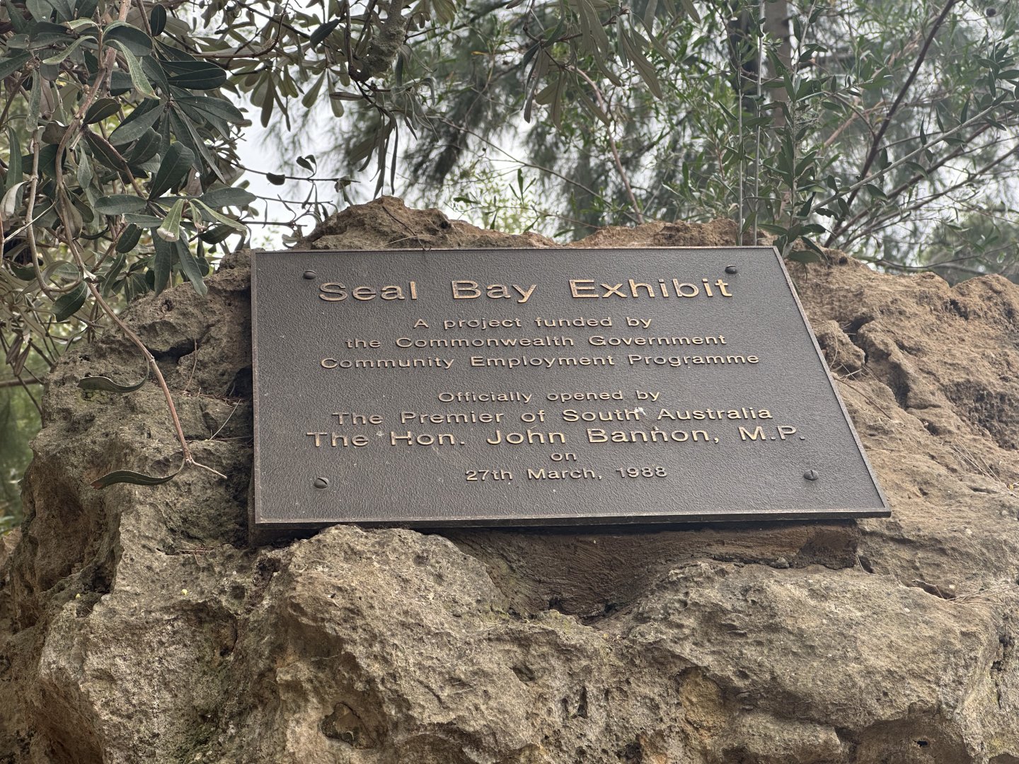 Seal Bay - Plaque