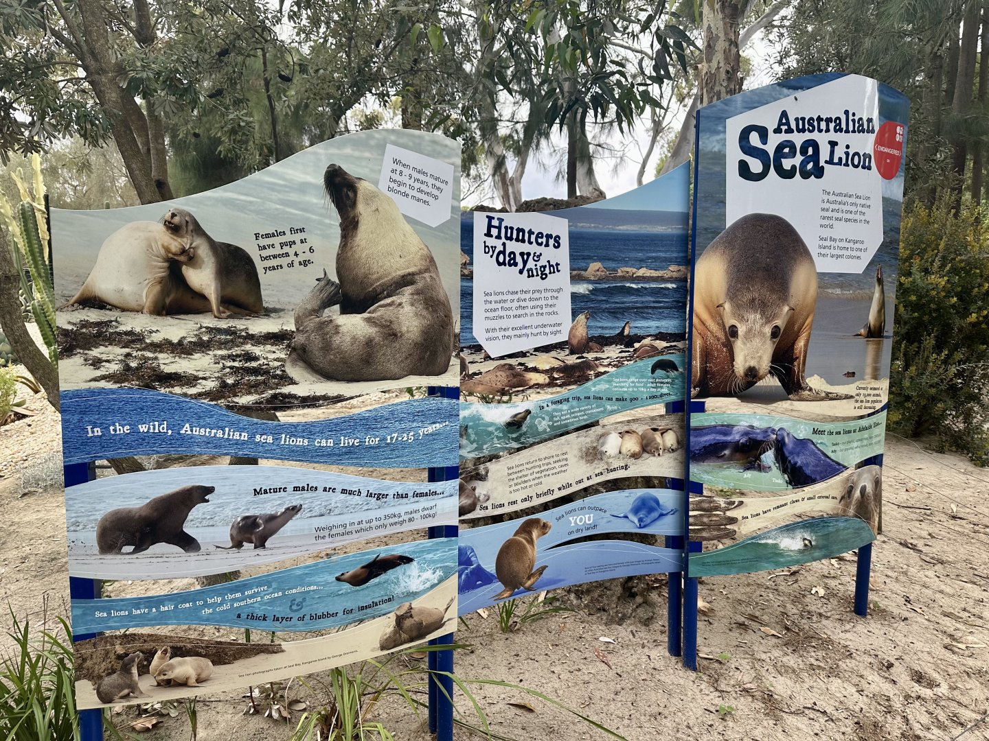Seal Bay - Signage