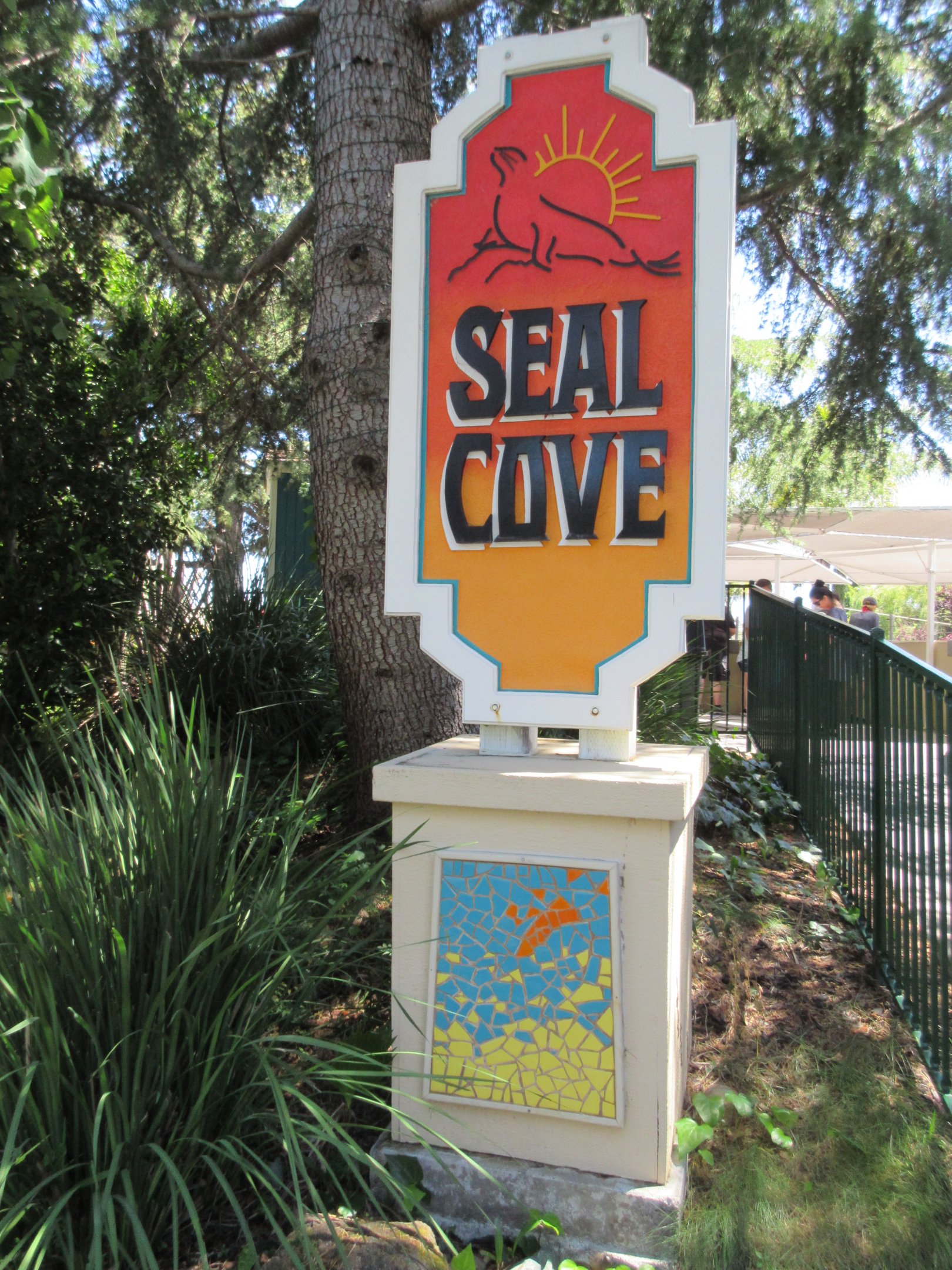 Seal Cove (Harbour Seals and a single California Sea Lion)