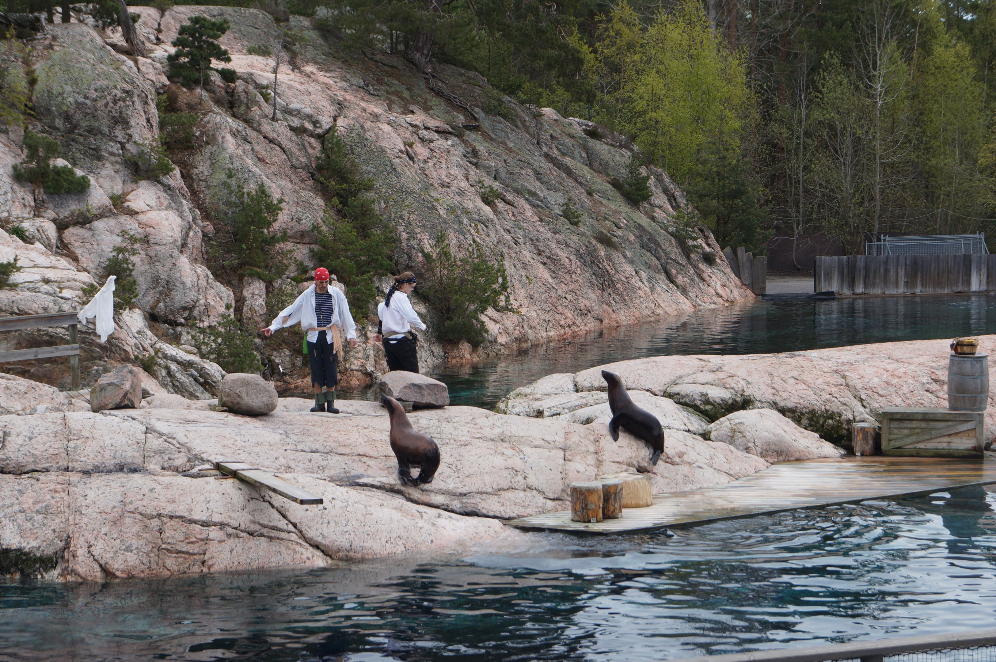 Seal demonstration 2015