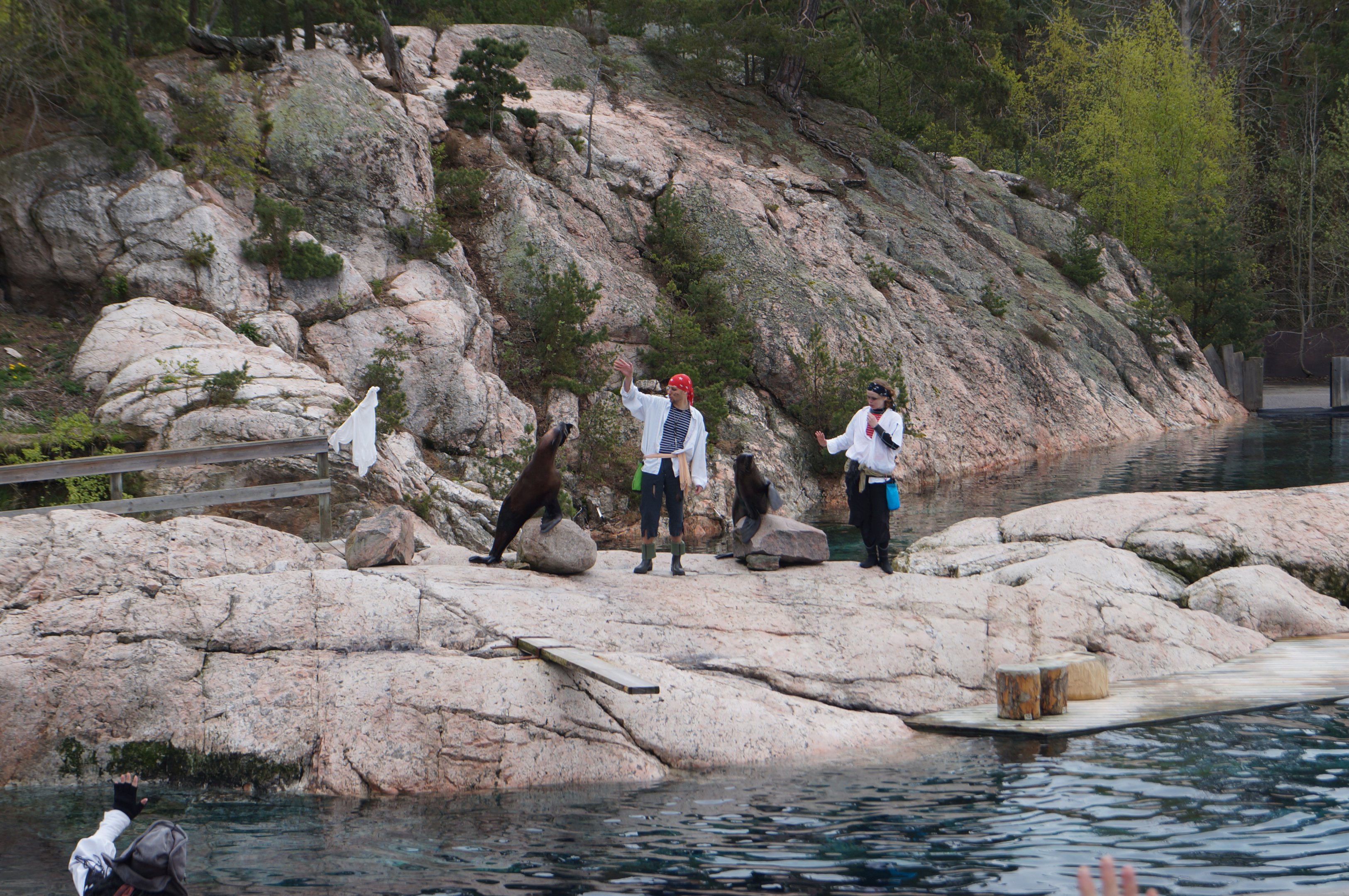 Seal demonstration 2015