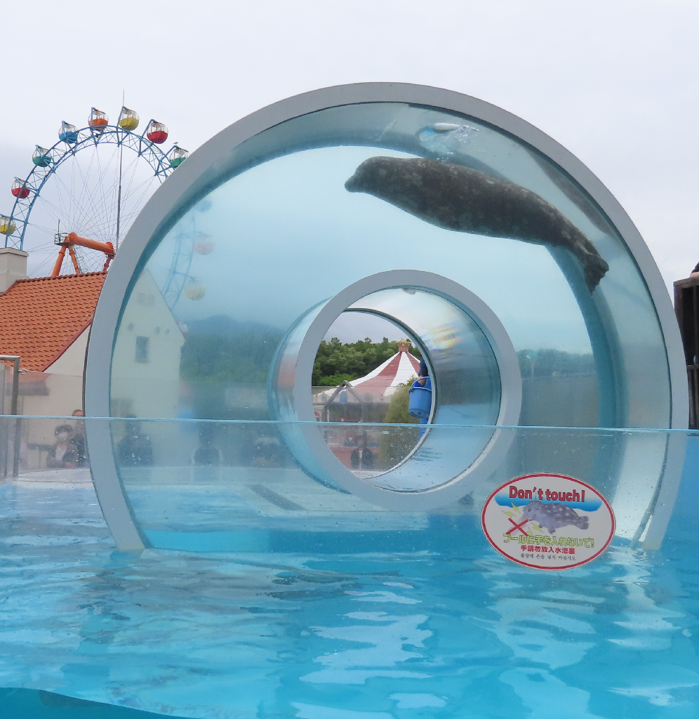 Seal doughnut spin thing