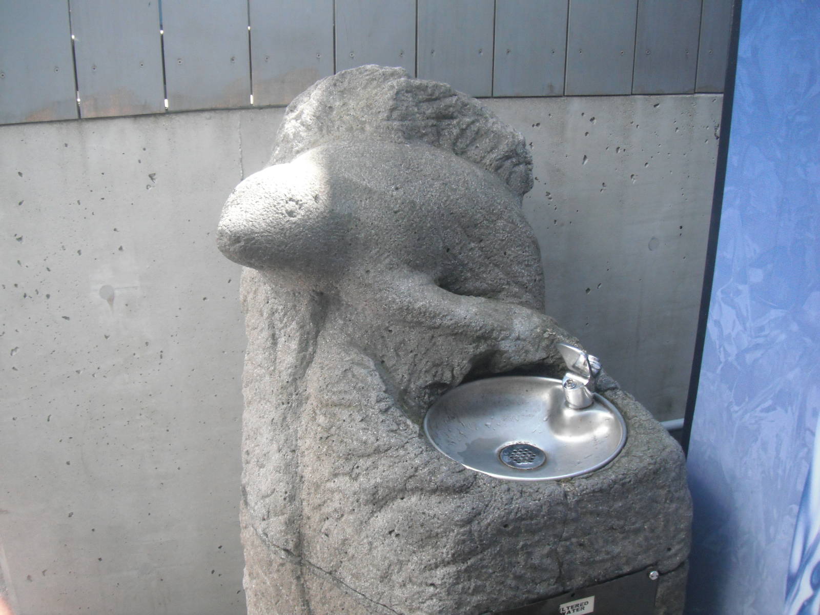 Seal drinking fountain