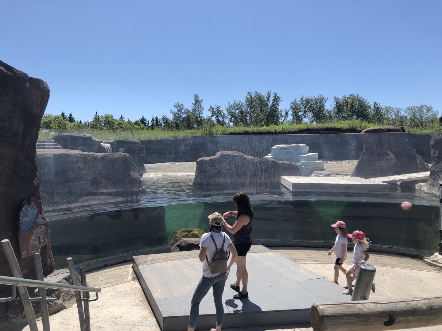 Seal Enclosure at Edmonton Valley Zoo (July 2022)