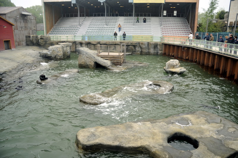Seal-enclosure at Hannover