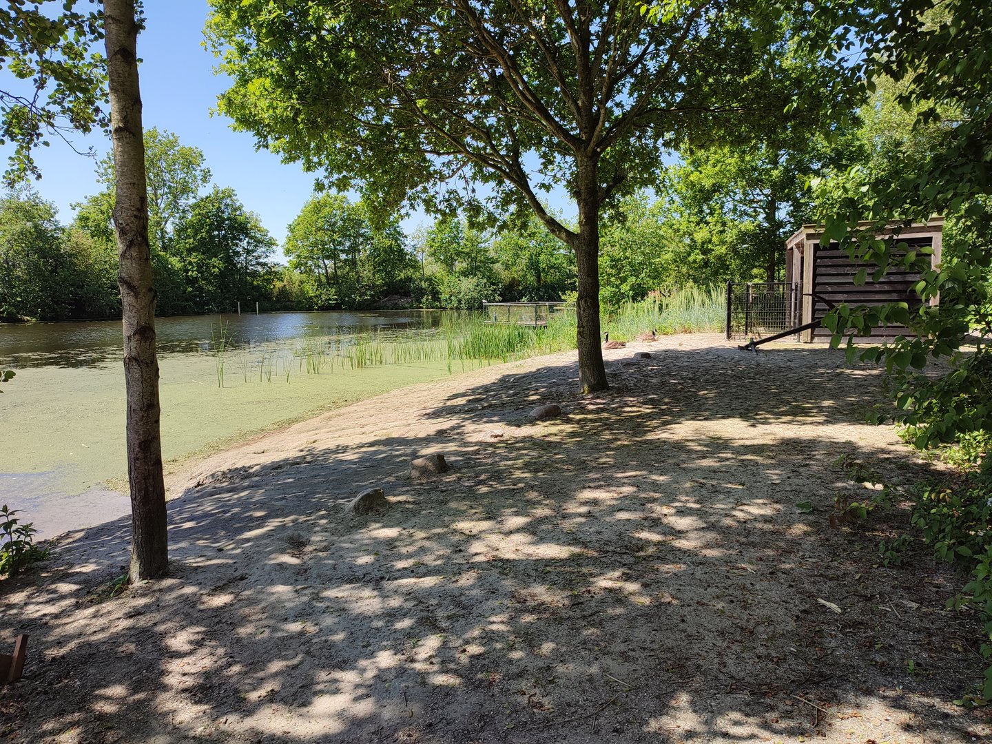 Seal enclosure – beach