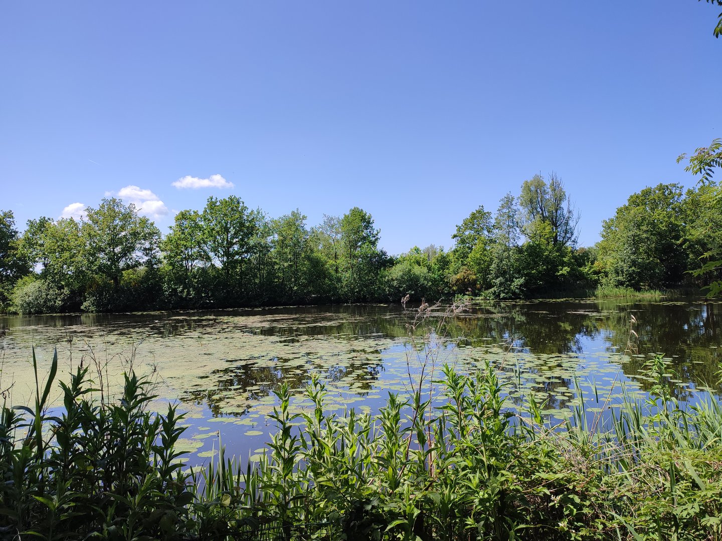 Seal enclosure - first half