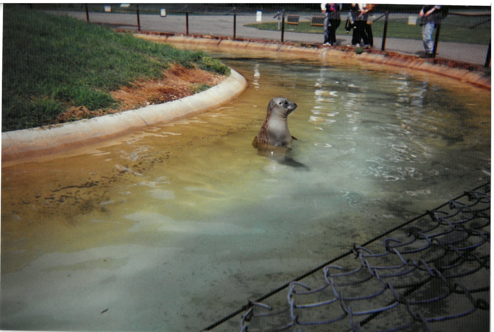Seal Enclosure - scanned photo 1990's