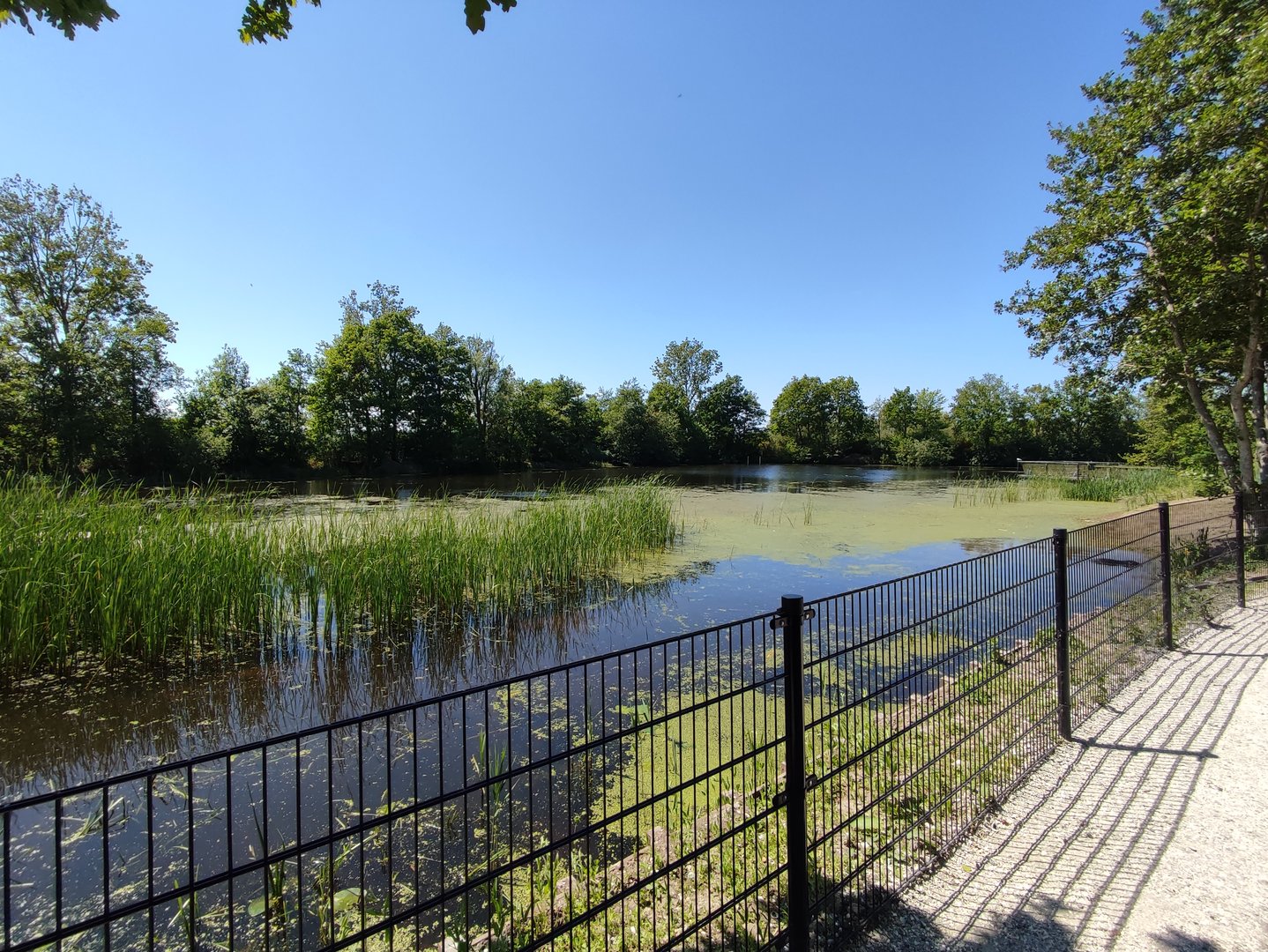 Seal enclosure - second half