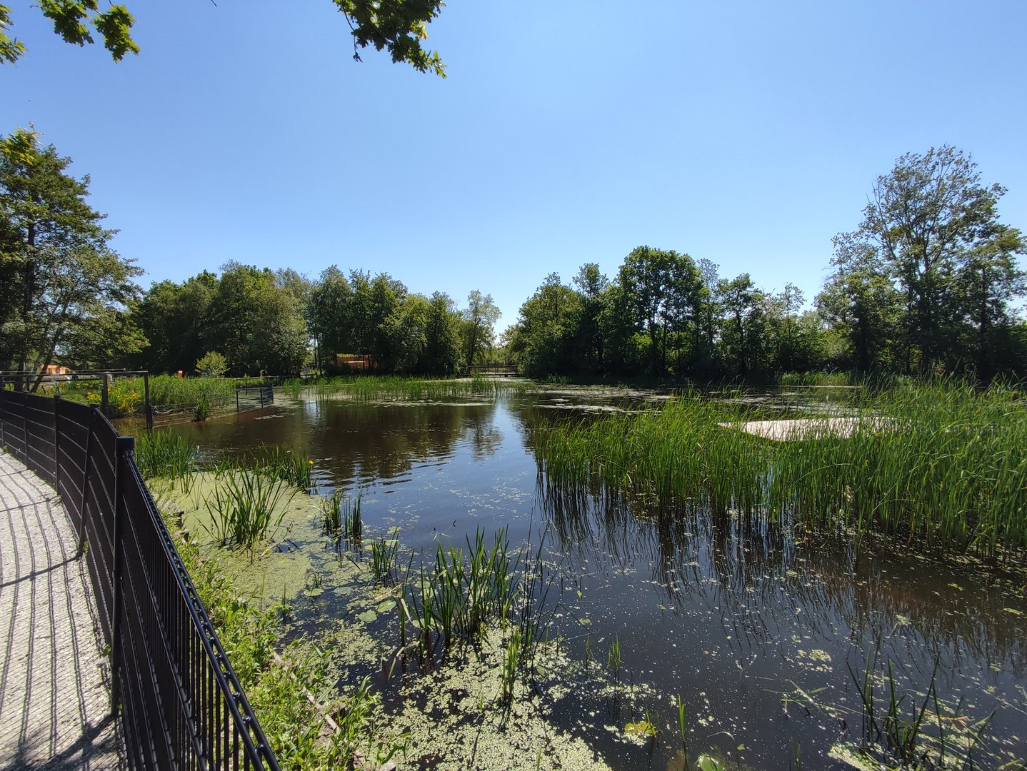 Seal enclosure - second half