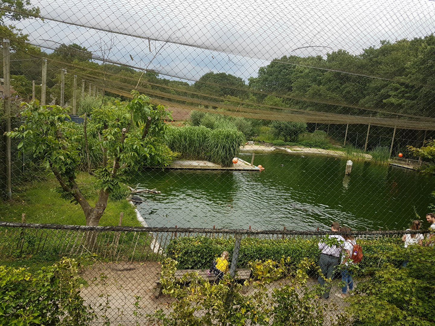 Seal-enclosure