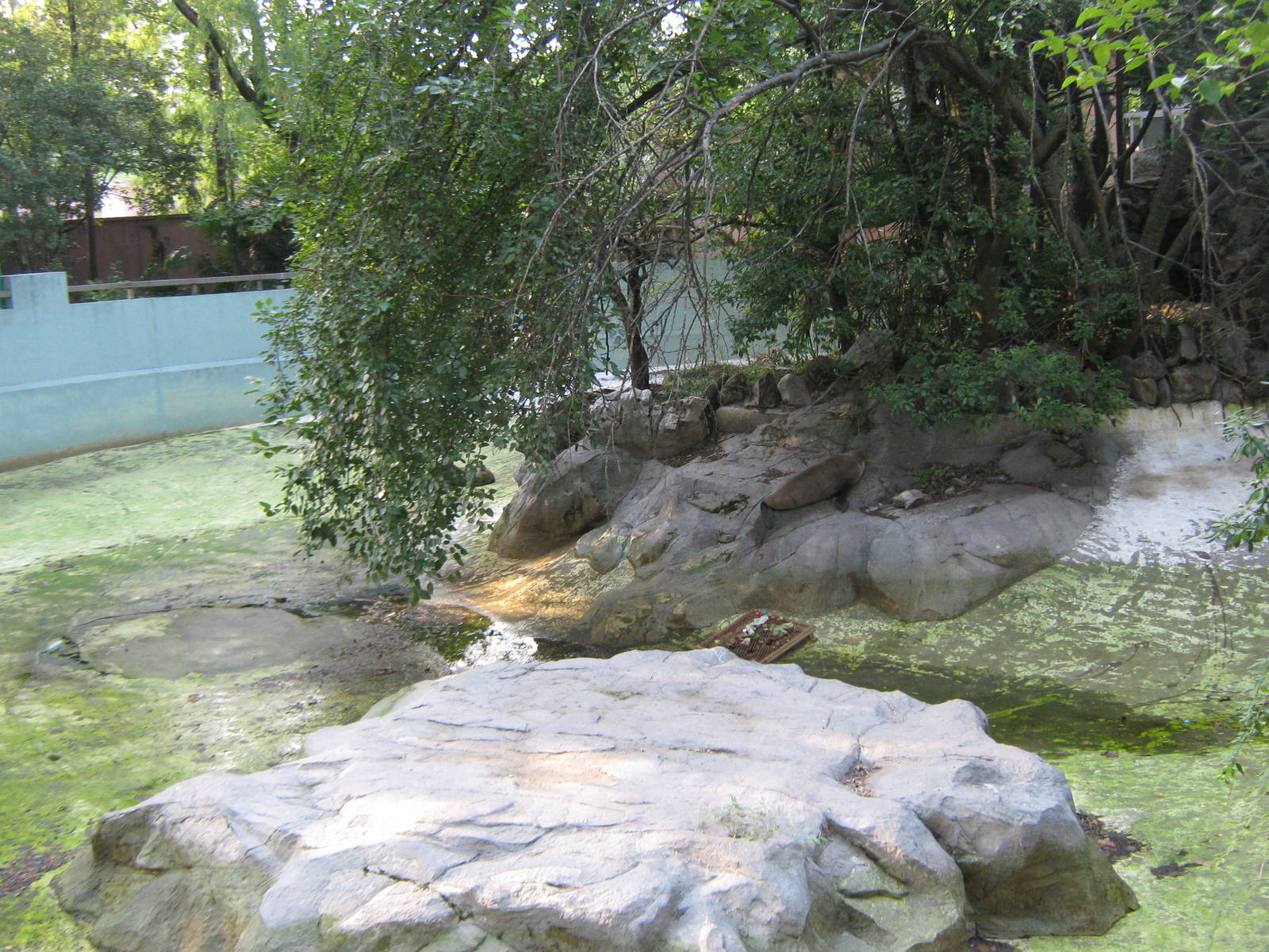seal enclosures