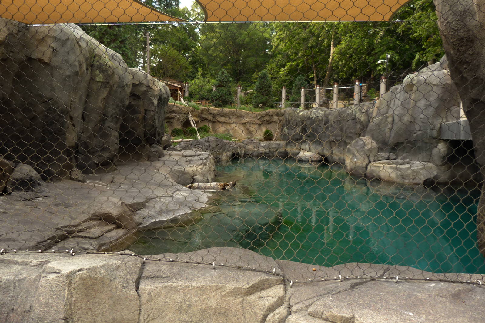 Seal Exhibit (American Trails) 9-6-12