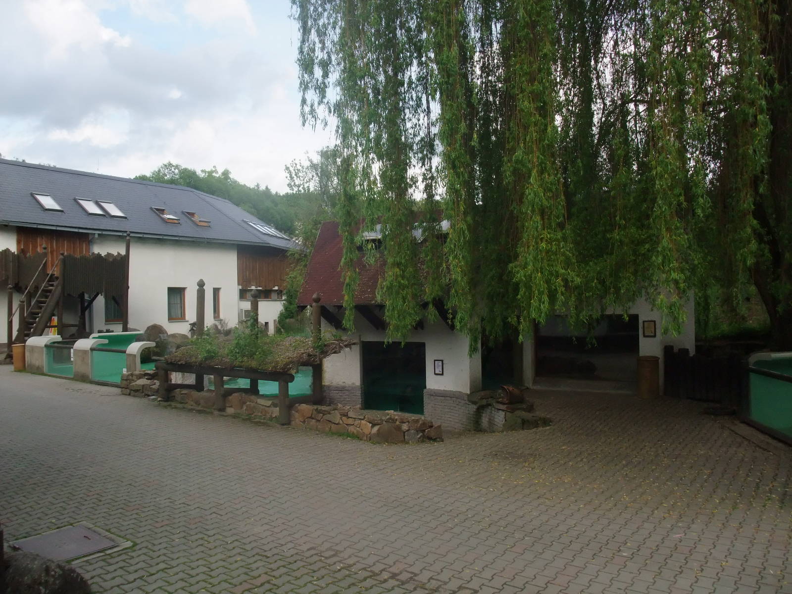 Seal exhibit at Jihlava, 30/05/10
