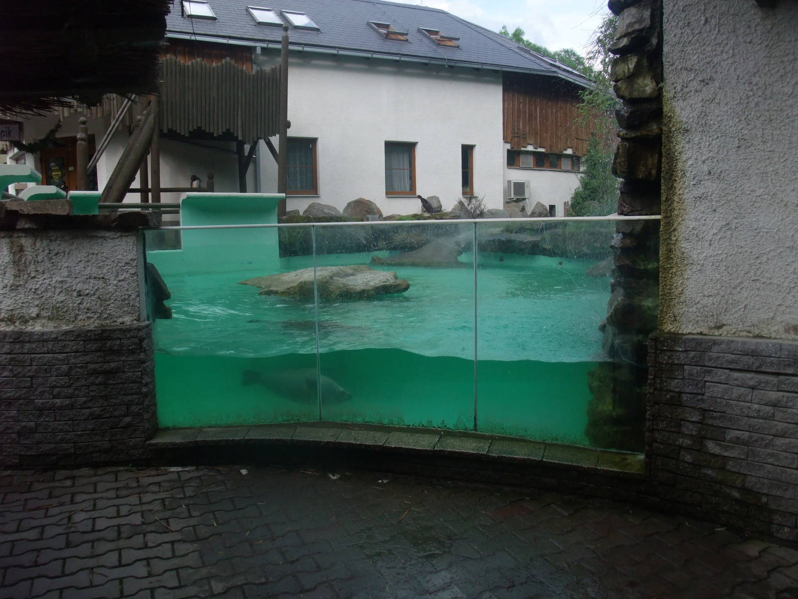 Seal Exhibit at Jihlava, 30/05/10