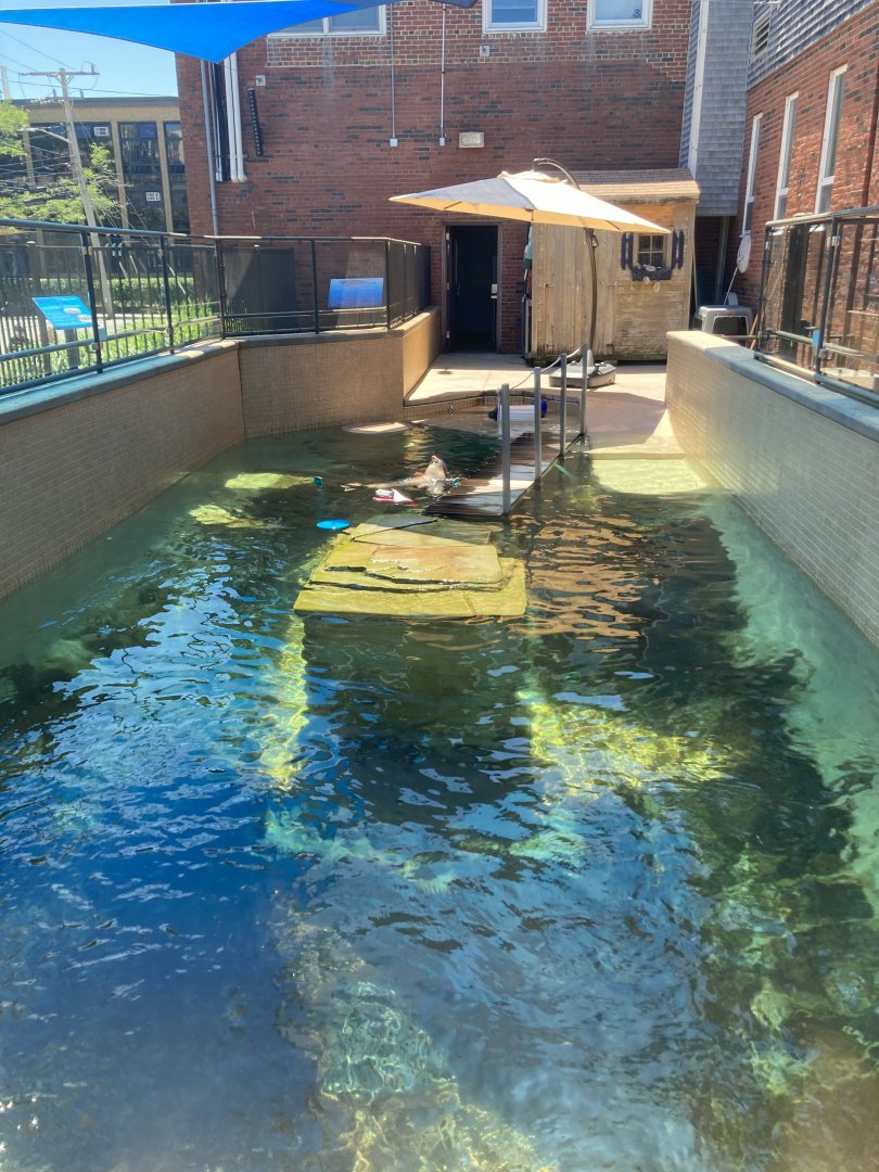 Seal Exhibit Overview