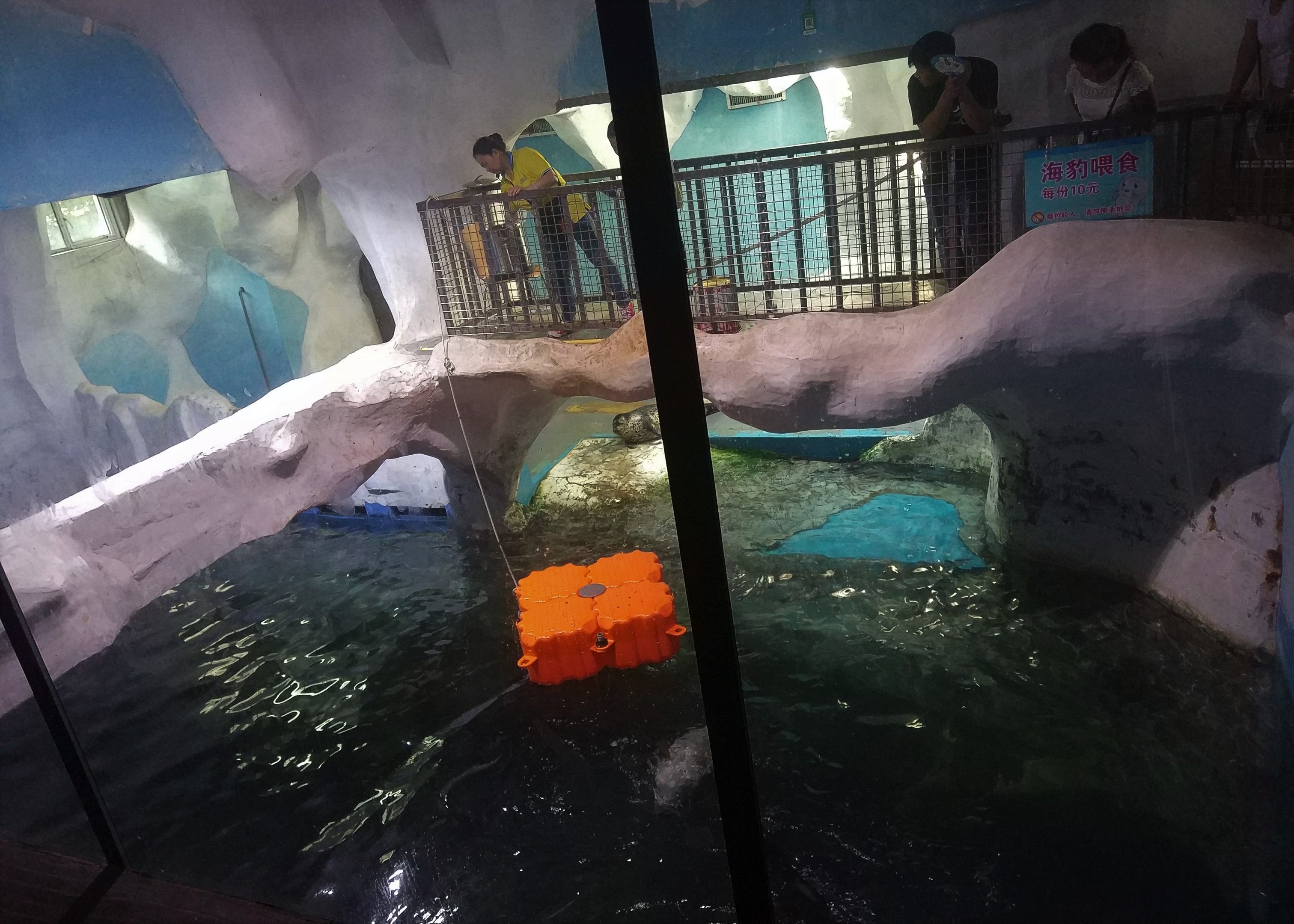 Seal Exhibit