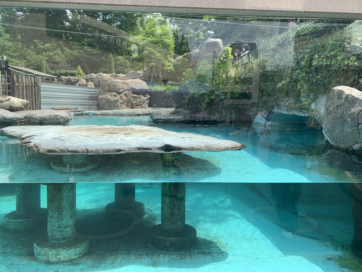 Seal Exhibit