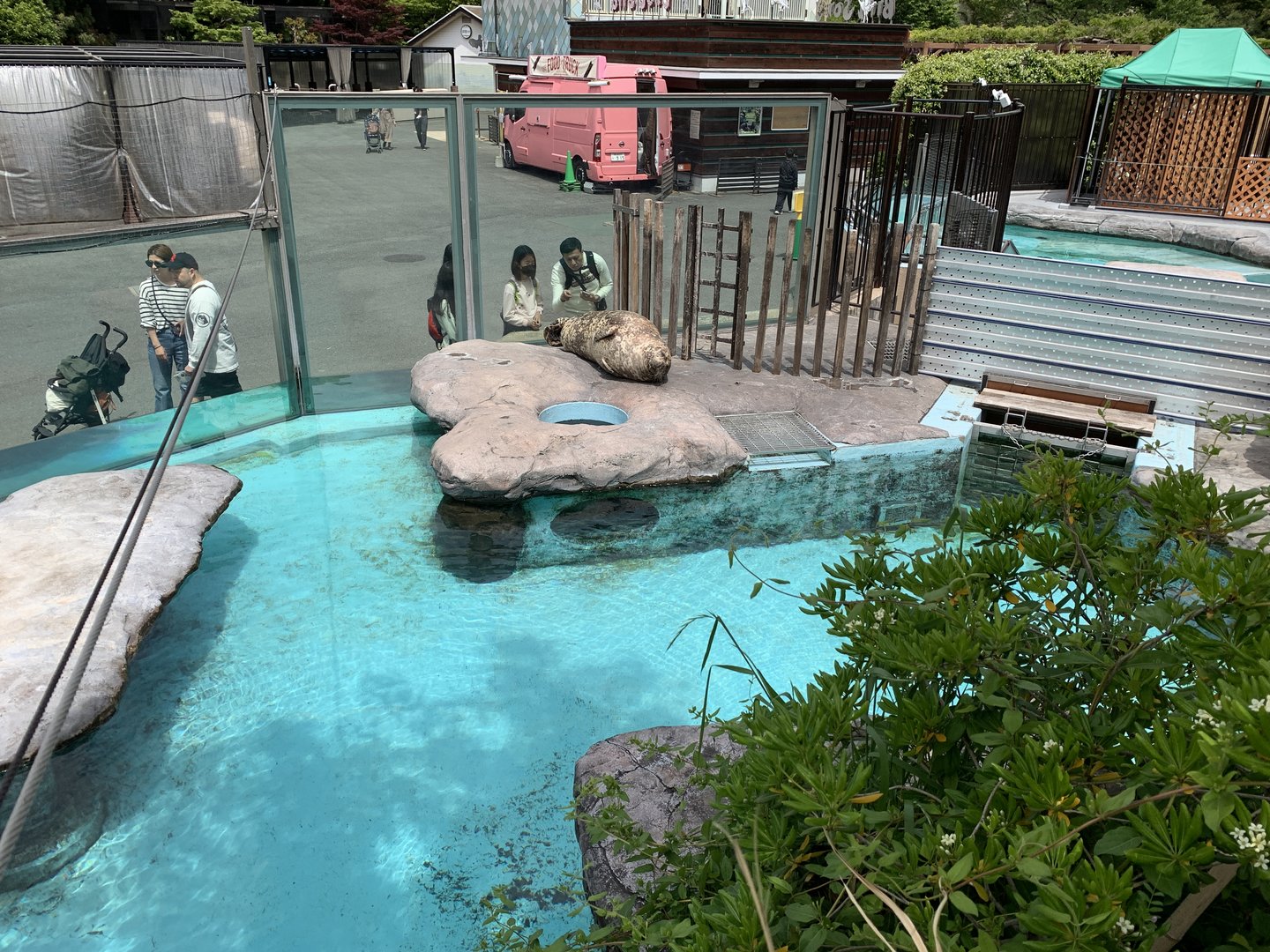 Seal Exhibit