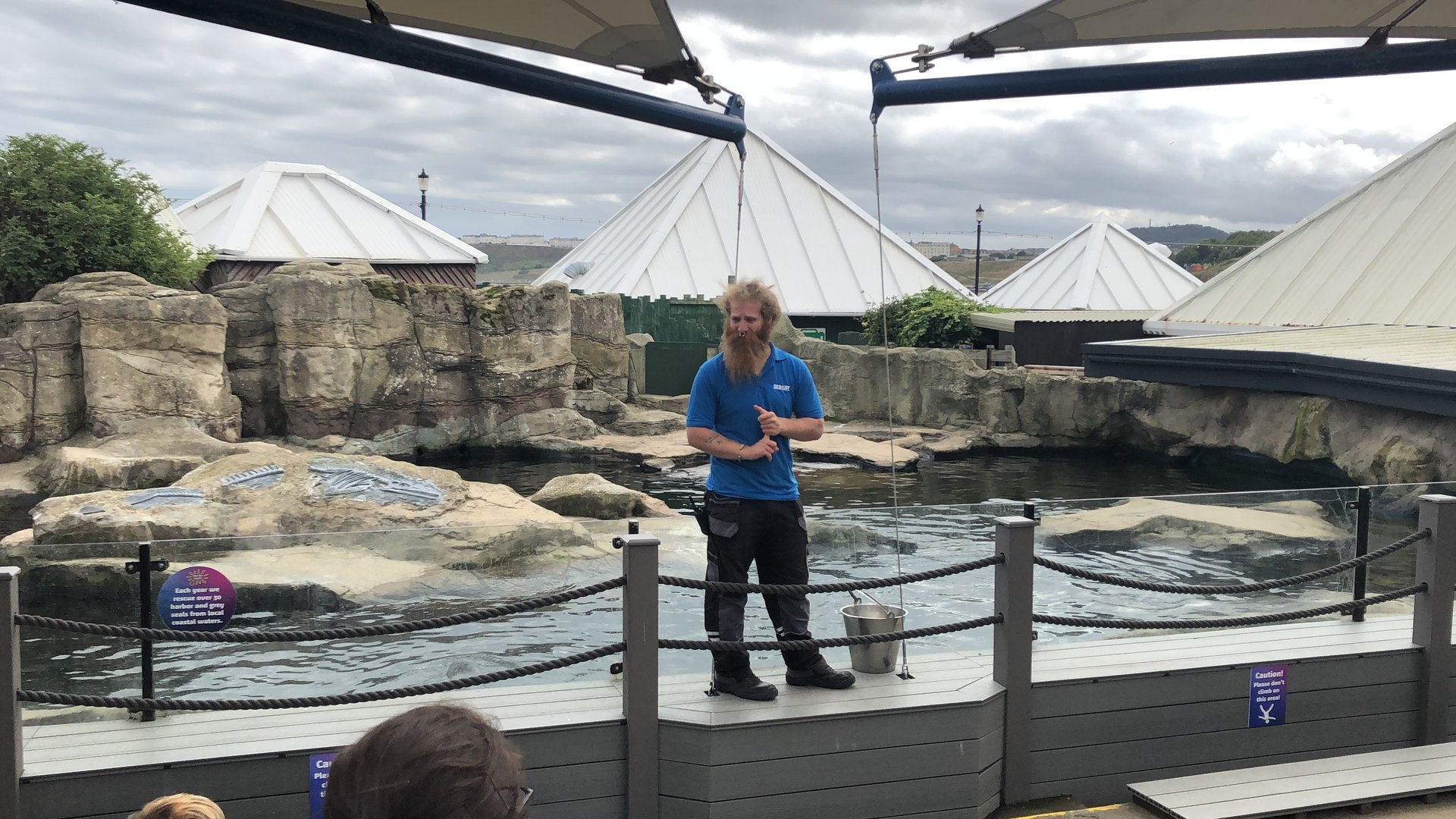 Seal Feeding at SEA LIFE Scarborough (September 2022)