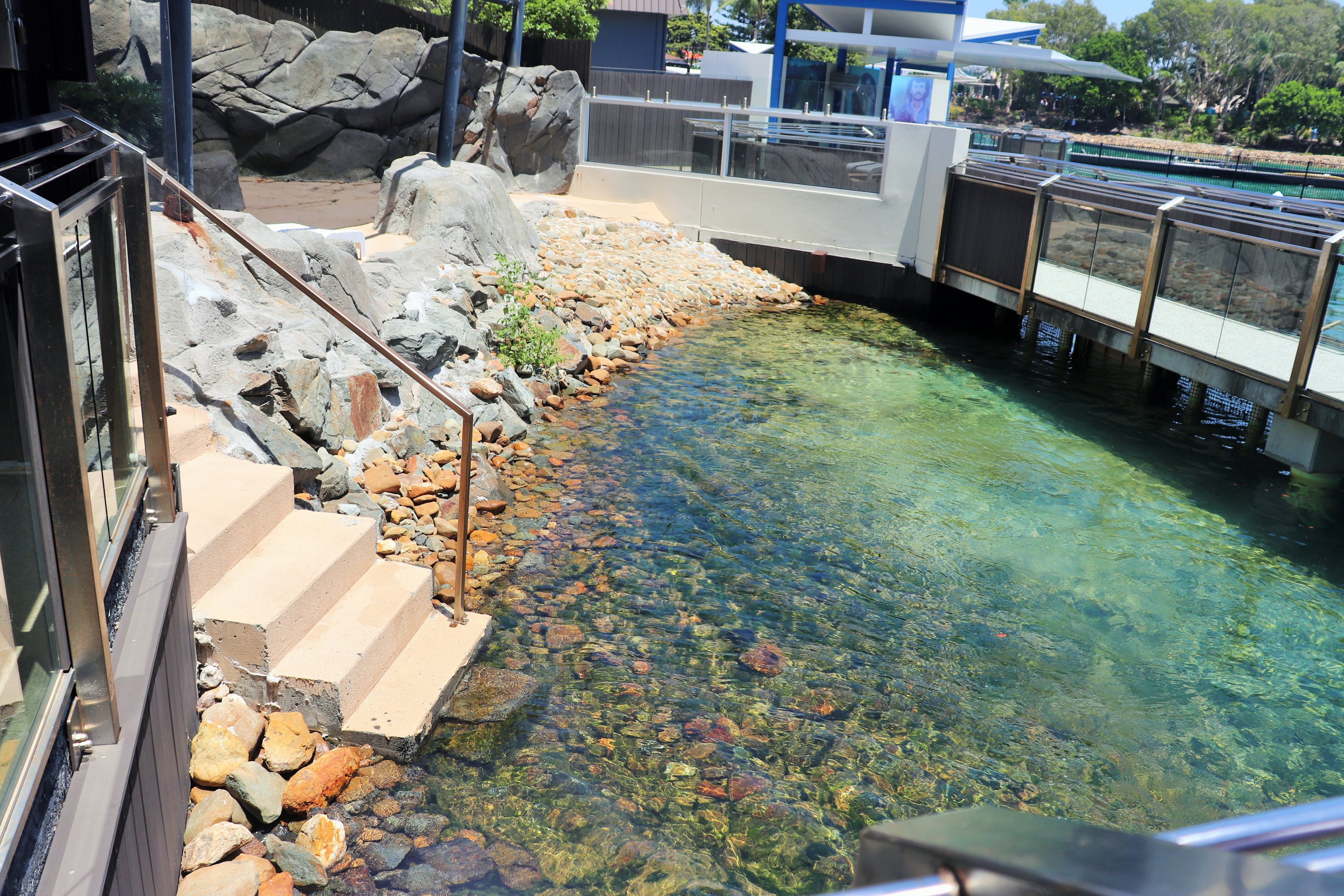 Seal Harbour - Second Seal Enclosure