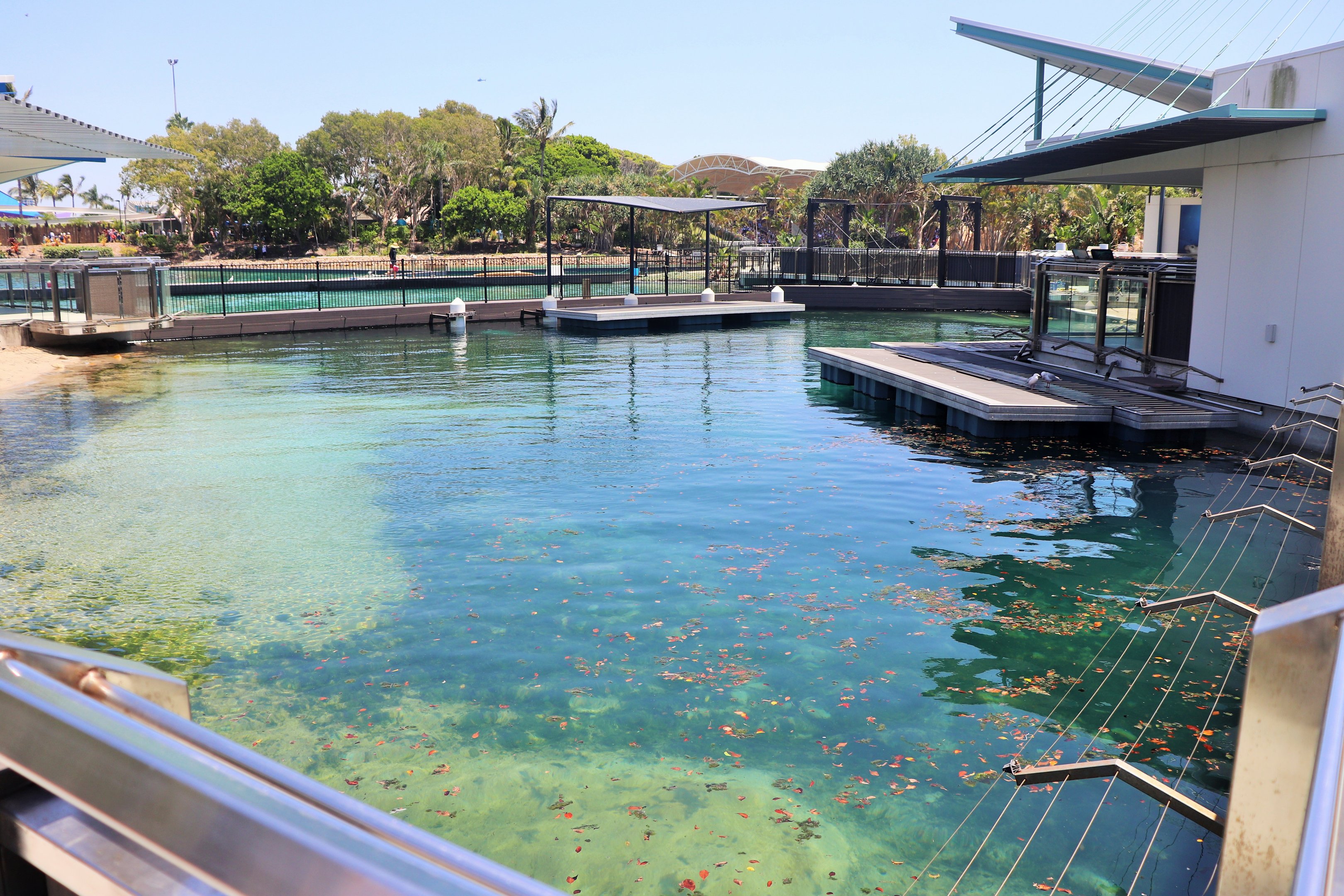 Seal Harbour - Third Seal Enclosure