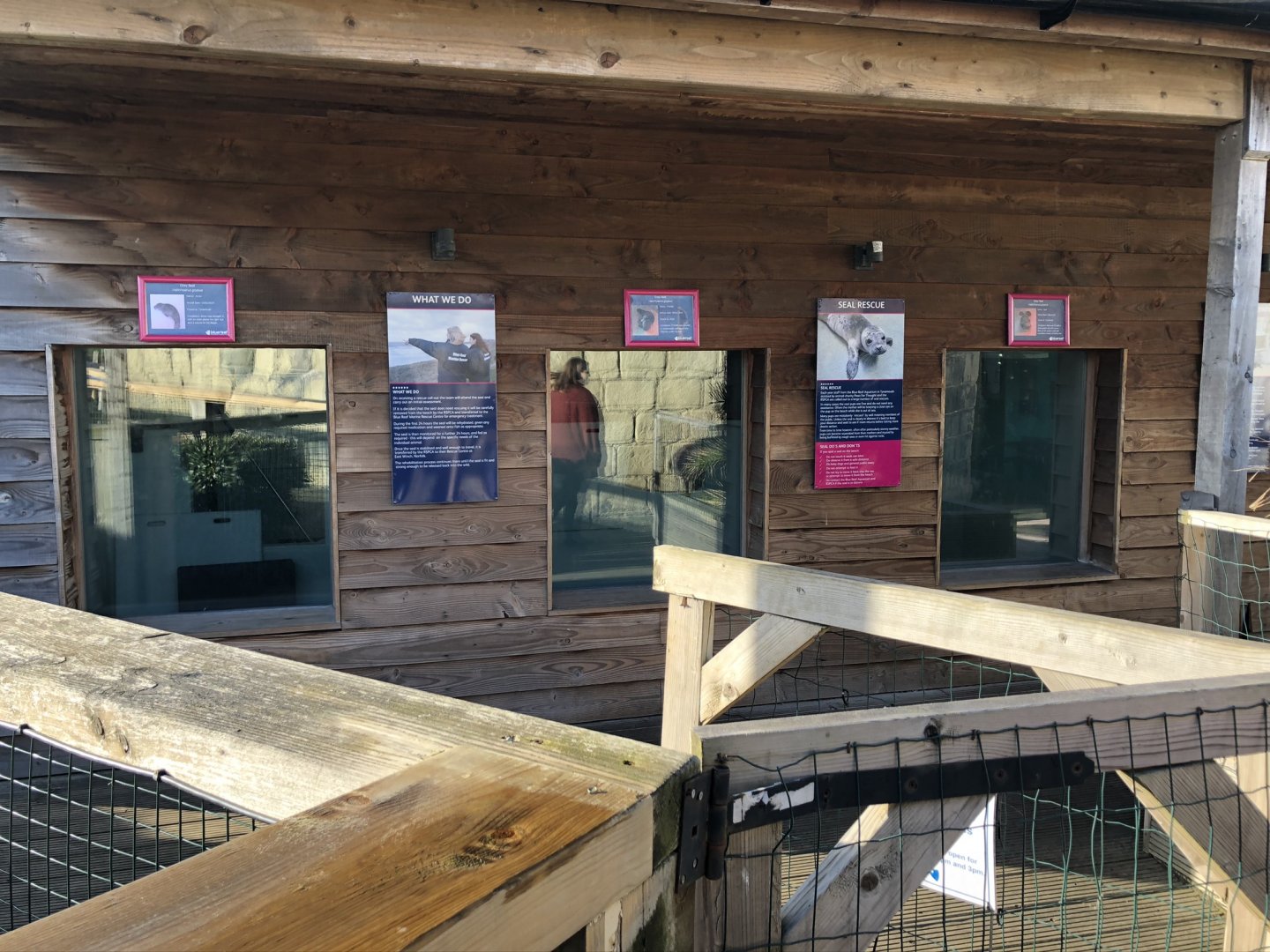 Seal Hospital at Tynemouth Aquarium (2019)