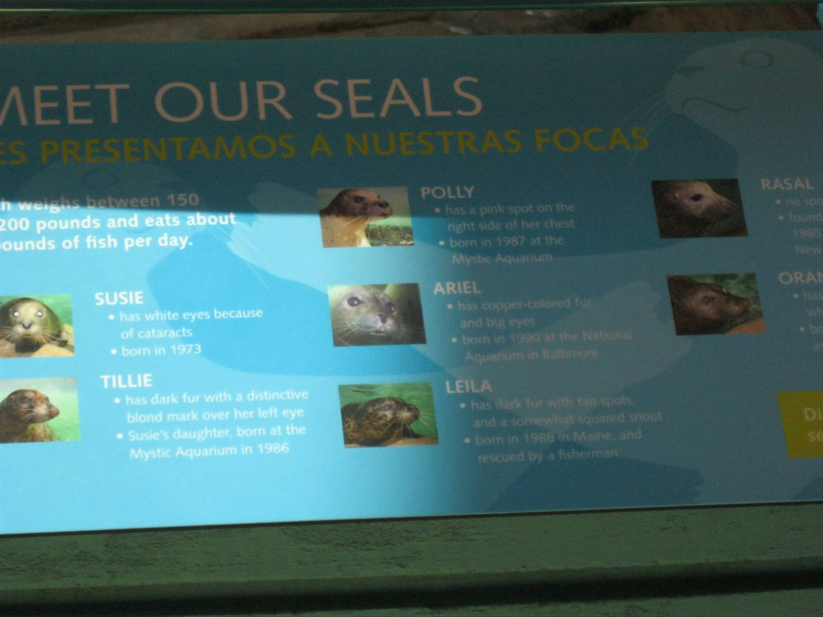 Seal Identification Sign