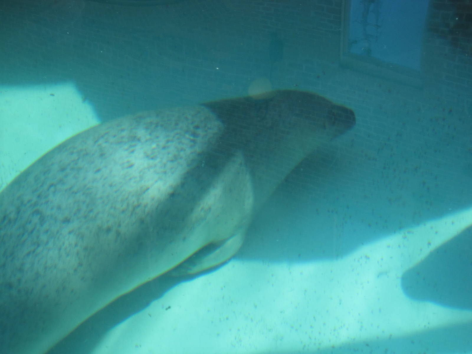 Seal in Outdoor Enclosure