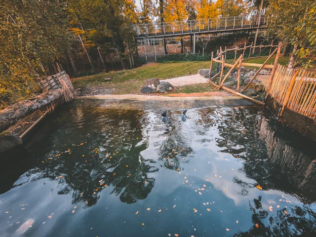 Seal in temporary enclousure