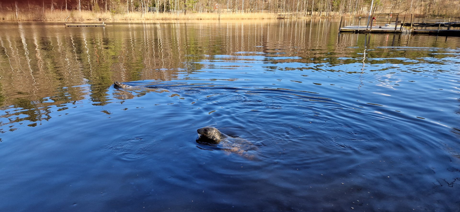 Seal Lake