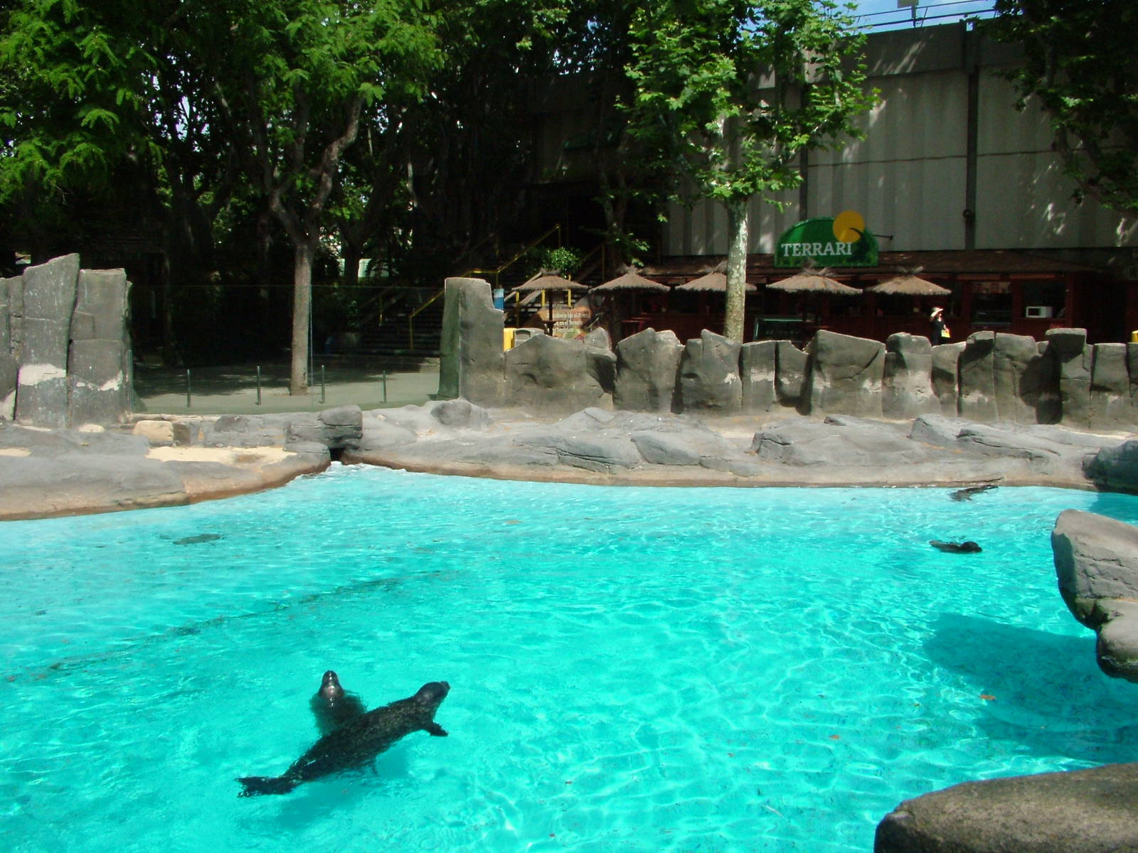 Seal Pool at Barcelona, 30/05/11