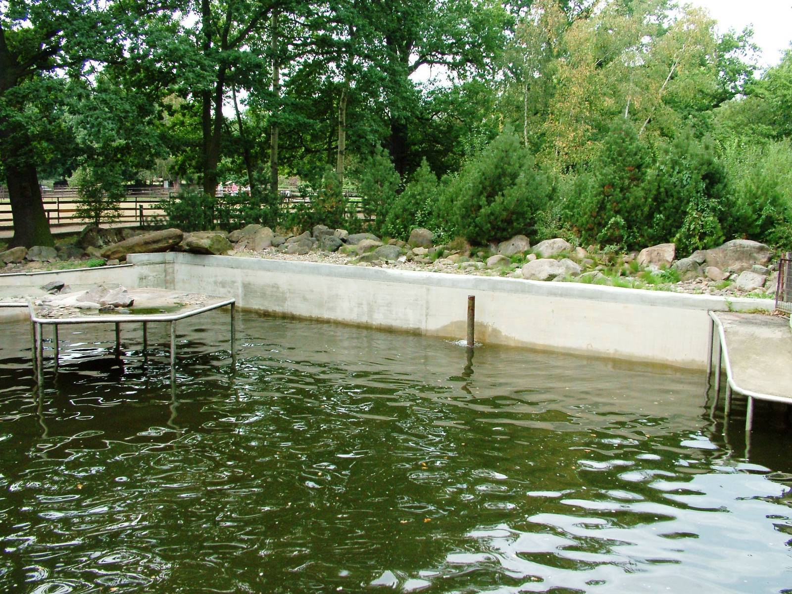 Seal Pool at Chomutov, 30/08/12