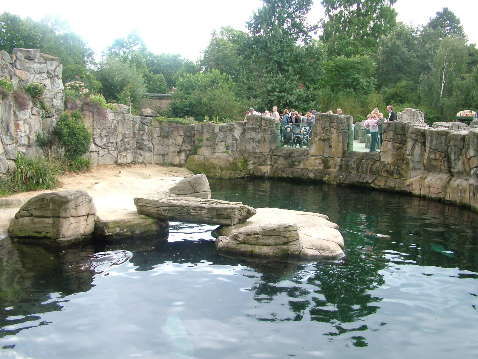 Seal Pool at Frankfurt 31/08/10
