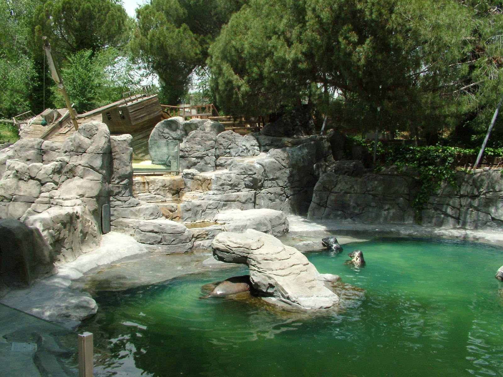 Seal Pool at Madrid Zoo Aquarium, 26/05/11