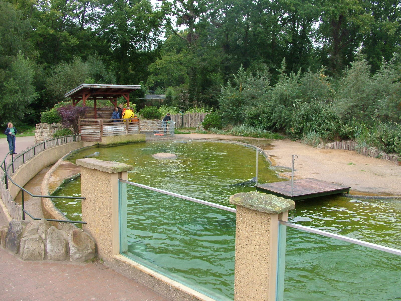 Seal pool at NaturZoo Rheine 2007