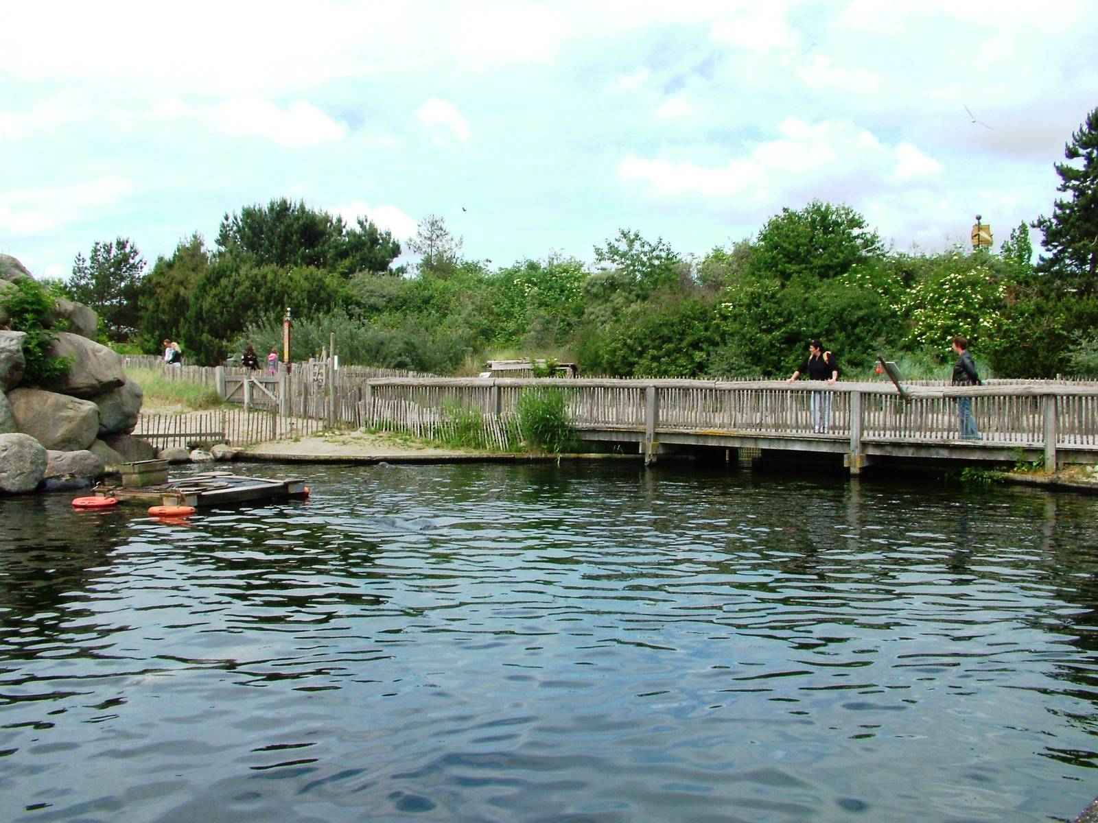 Seal Pools at Harderwijk, 01/06/12